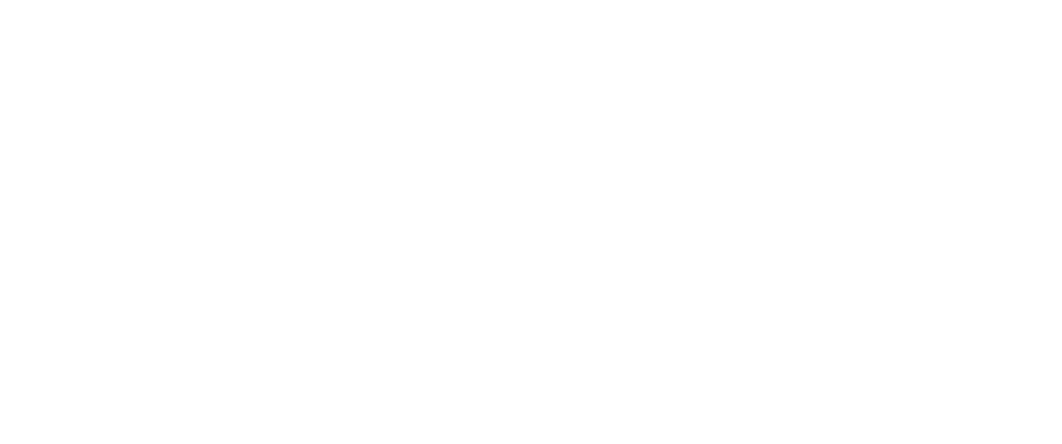 Logo: Arbeiter mit Hochdruckreiniger, daneben Pute und Ente